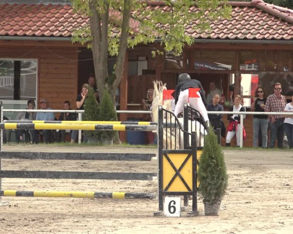 Reitturnier Richelsdorf 2023