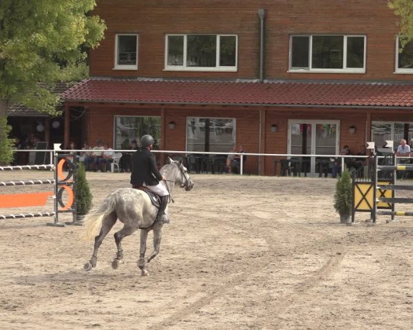 Reitturnier Richelsdorf 2023