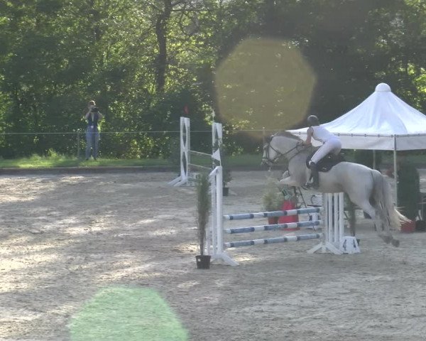 Reitturnier Maienfeld 2023