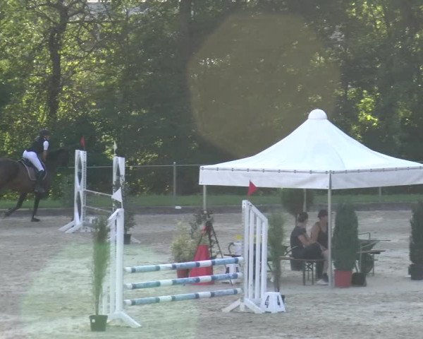 Reitturnier Maienfeld 2023
