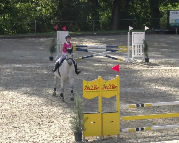 Reitturnier Maienfeld 2023