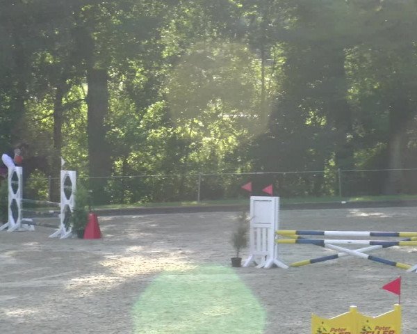 Reitturnier Maienfeld 2023