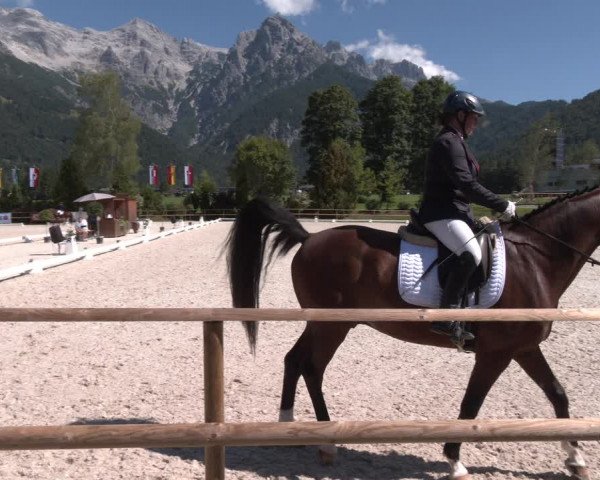 Reitturnier St. Ulrich am Pillersee 2023