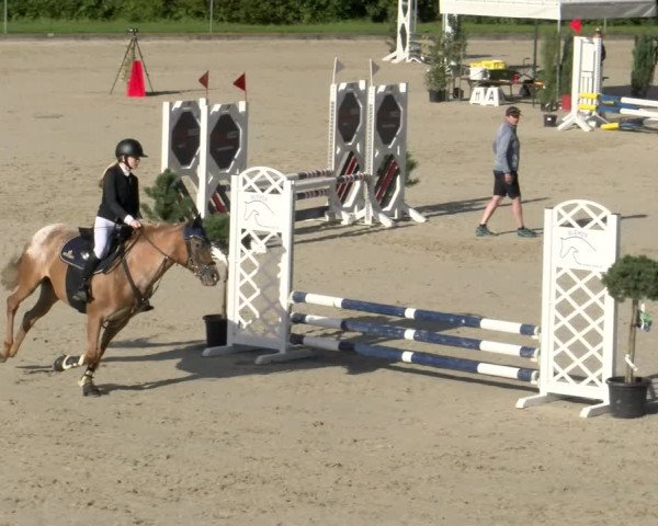 Reitturnier Maienfeld 2023