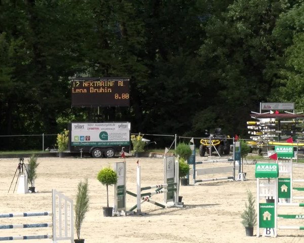 Reitturnier Maienfeld 2023