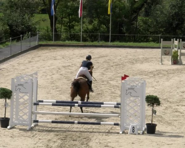 Reitturnier Maienfeld 2023