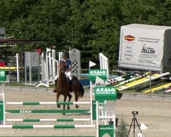 Reitturnier Maienfeld 2023