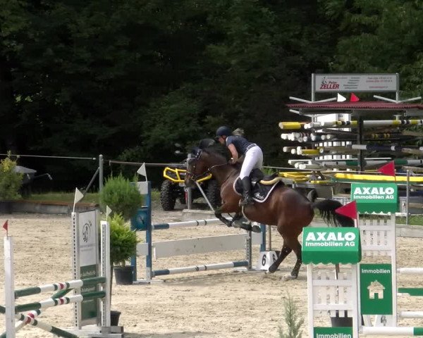 Reitturnier Maienfeld 2023