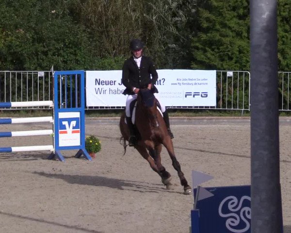 Reitturnier Sörup 2021