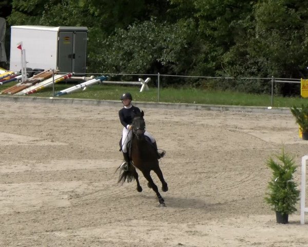Reitturnier Maienfeld 2023