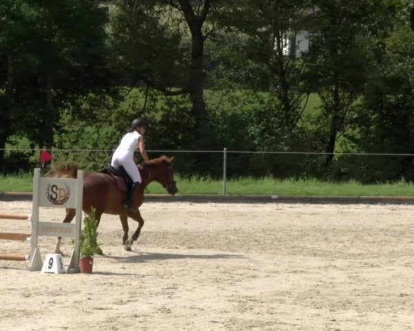 Reitturnier Maienfeld 2023