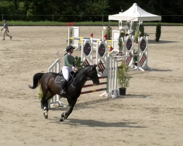 Reitturnier Maienfeld 2023