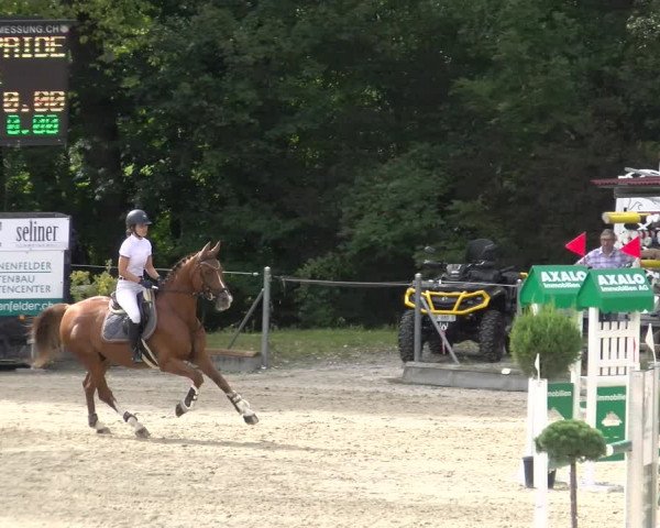 Reitturnier Maienfeld 2023