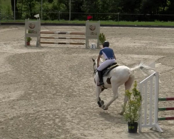 Reitturnier Maienfeld 2023