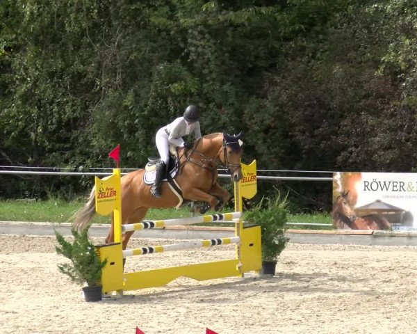 Reitturnier Maienfeld 2023