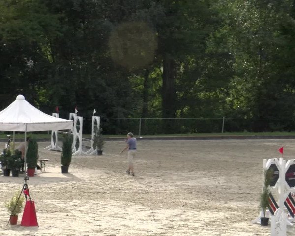 Reitturnier Maienfeld 2023