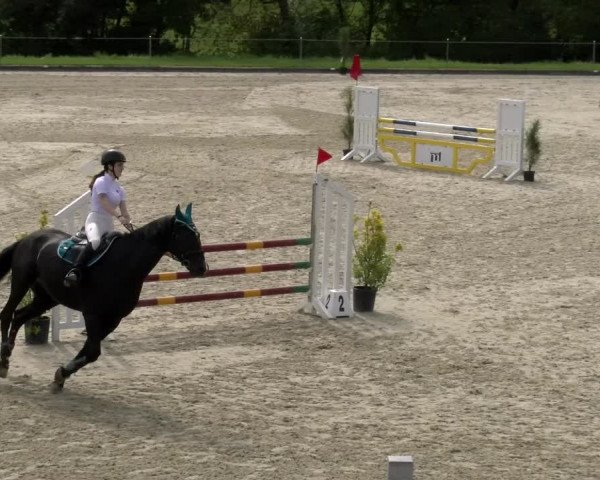 Reitturnier Maienfeld 2023