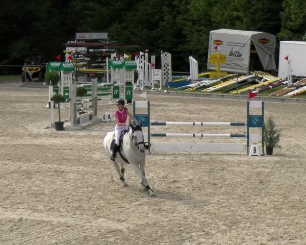 Reitturnier Maienfeld 2023