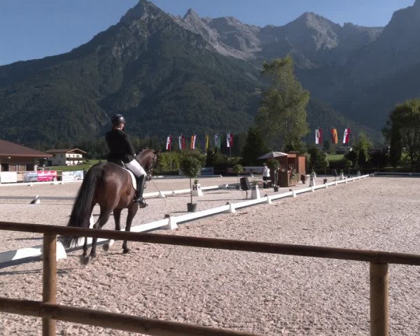 Reitturnier St. Ulrich am Pillersee 2023