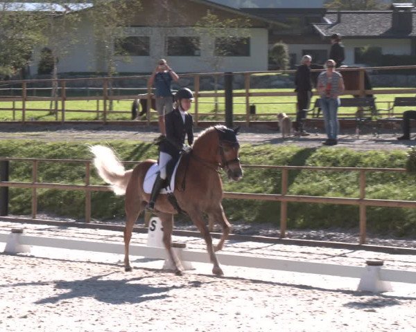 Reitturnier St. Ulrich am Pillersee 2023