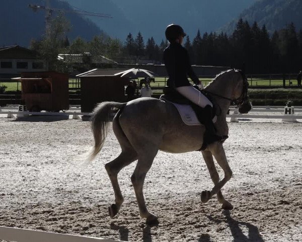 Reitturnier St. Ulrich am Pillersee 2023