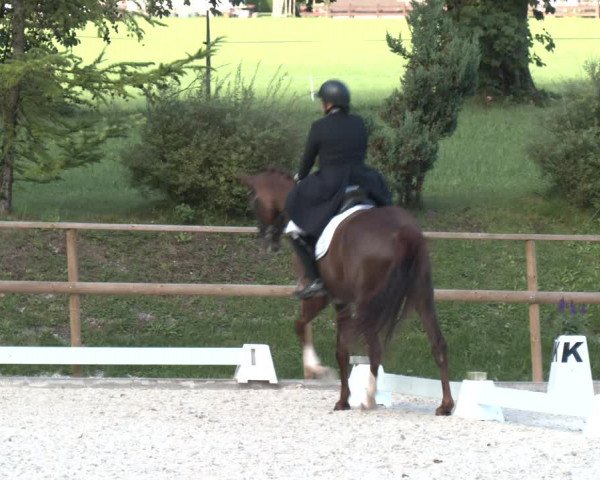 Reitturnier St. Ulrich am Pillersee 2023