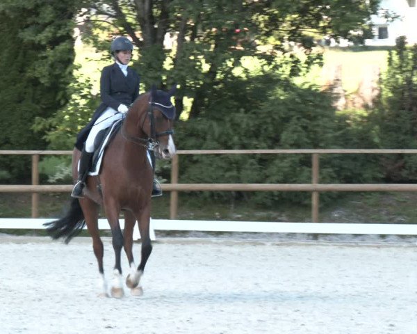 Reitturnier St. Ulrich am Pillersee 2023