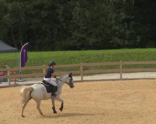 Reitturnier Tiefenhof 2023