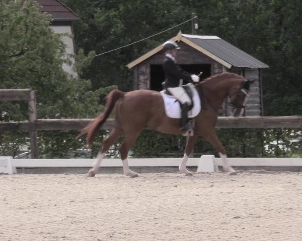 Reitturnier Müncheberg 2023