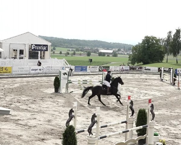 Reitturnier Humlikon 2023