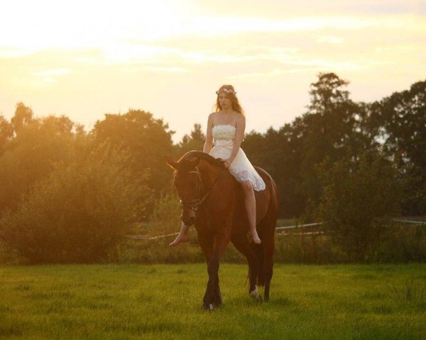 Pferd Gina (Traber, 2002, von Namaste)