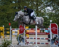 Springpferd Clinthago Z (Zangersheide Reitpferd, 2015, von Clintissimo 197 FIN)