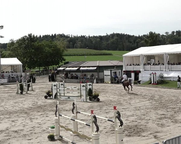 Reitturnier Humlikon 2023