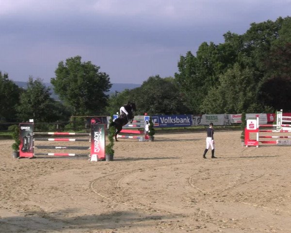 Reitturnier Vlotho-Valdorf 2023