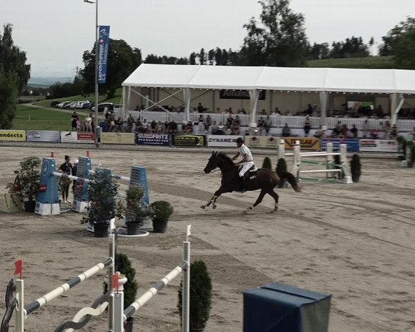 Reitturnier Humlikon 2023