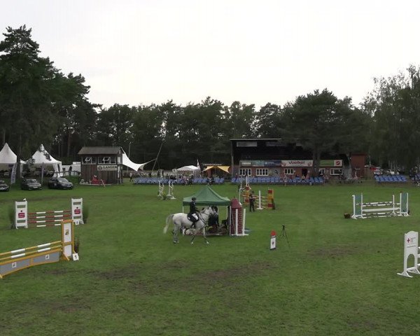 Reitturnier Dannenberg 2023
