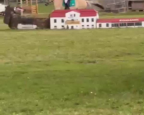 Video von Donito 7
