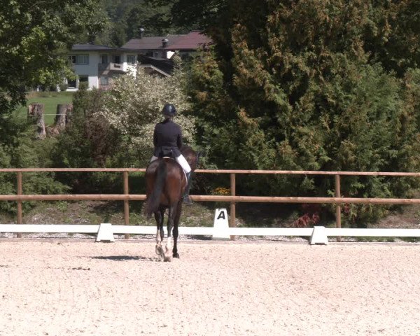 Reitturnier St. Ulrich am Pillersee 2023