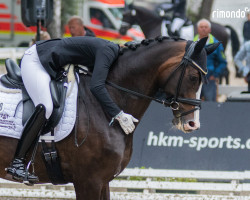 dressage horse Rocky Rode (Westphalian, 2017, from Rock for Me)