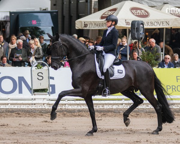 dressage horse Vita 30 (Hanoverian, 2017, from Vitalis)