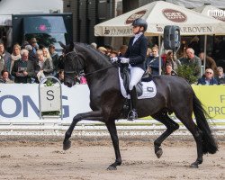 dressage horse Vita 30 (Hanoverian, 2017, from Vitalis)
