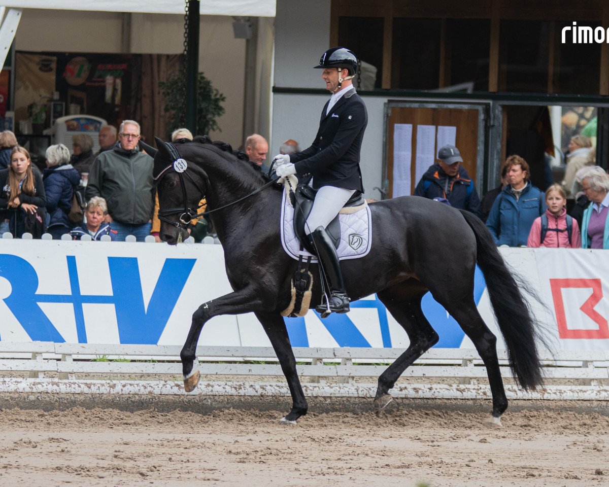 broodmare St. Felice FRH (Hanoverian, 2017, from St. Schufro)