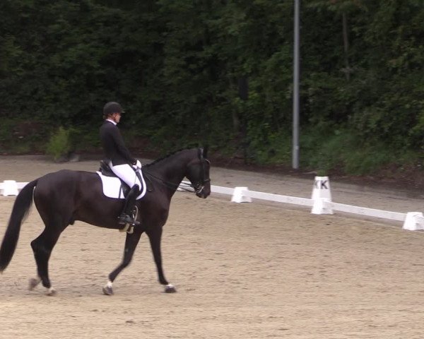 Reitturnier Köln-Flittard (Scheuerhof) 2023