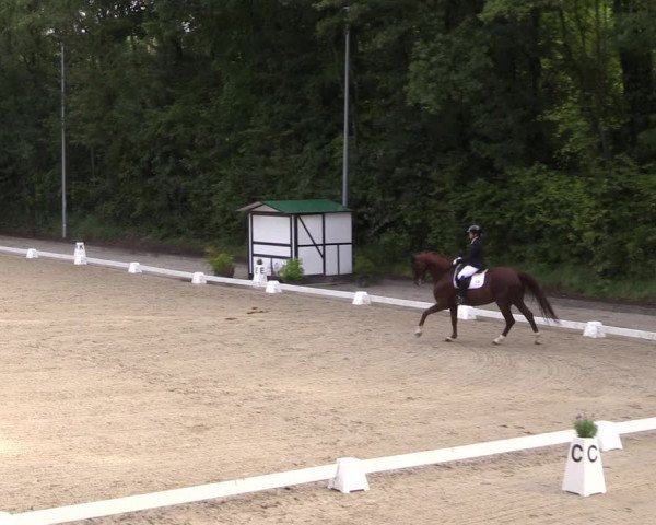 Reitturnier Köln-Flittard (Scheuerhof) 2023