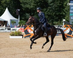 stallion Corneo Tf (Westphalian, 2016, from Cornet Obolensky)