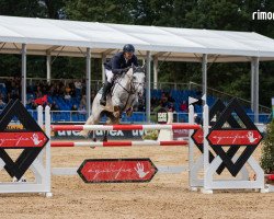 jumper Fangio De Will (Holsteiner, 2016, from For Pleasure)