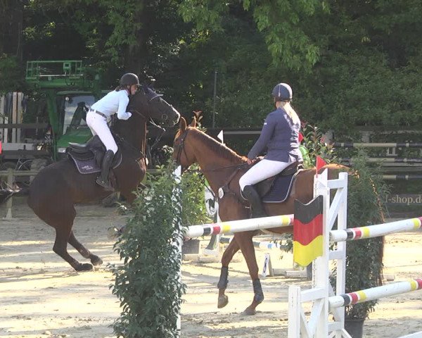 Springturnier Walldorf/Winterheck 2021
