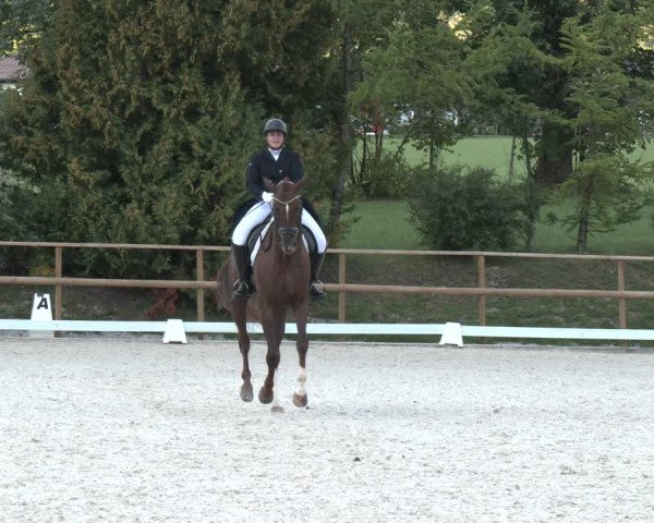 Reitturnier St. Ulrich am Pillersee 2023