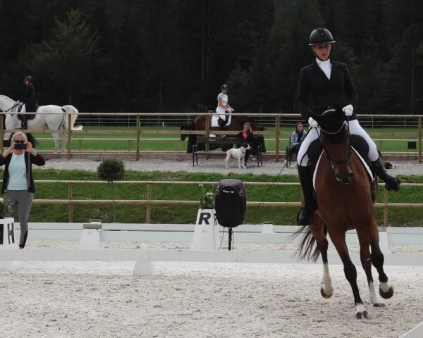 Reitturnier St. Ulrich am Pillersee 2023