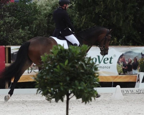 Reitturnier St. Ulrich am Pillersee 2023